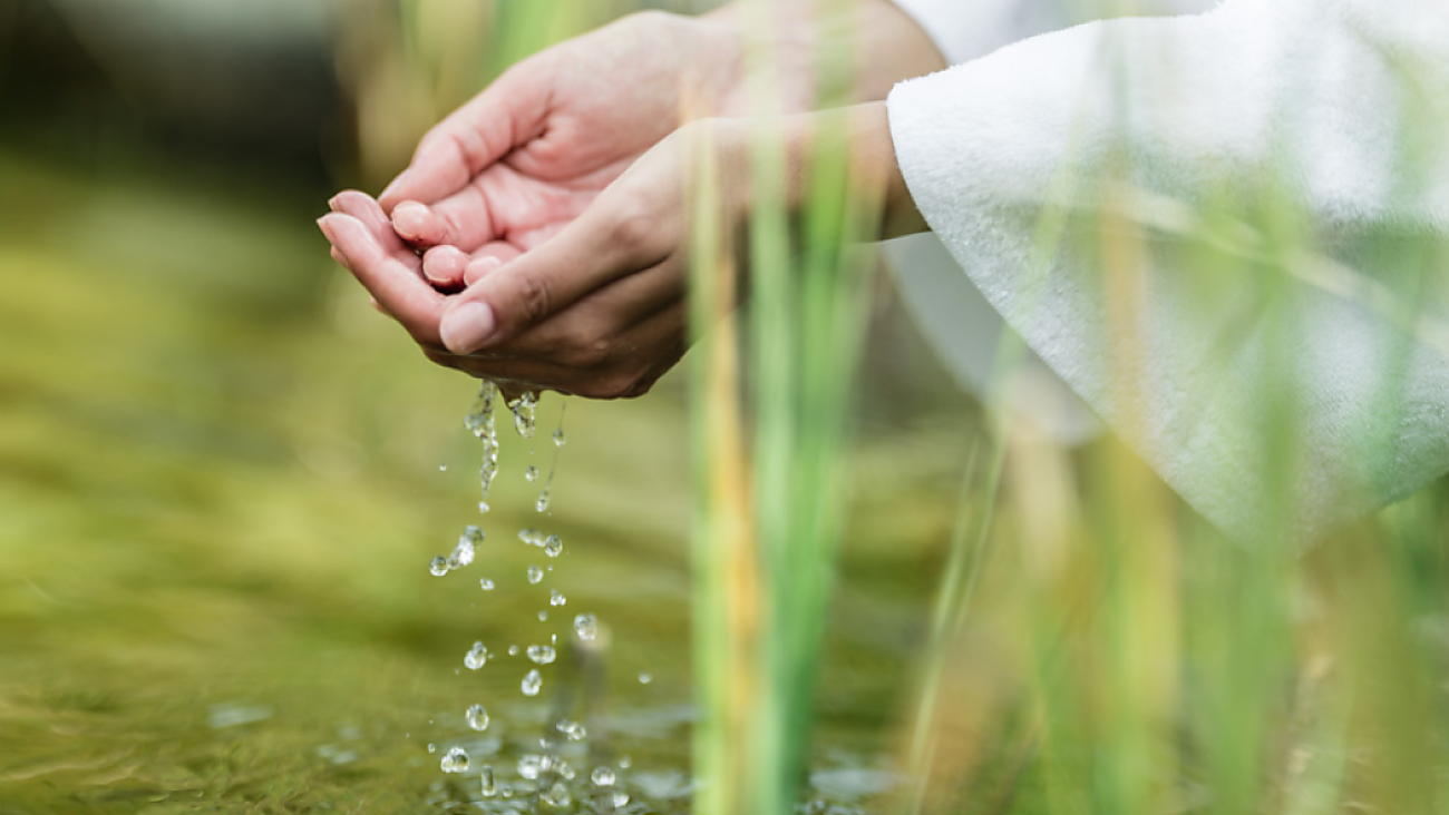 Nature Spa